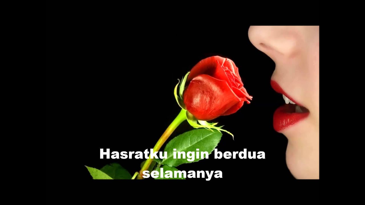 The Mercy's - Oh Bunga Mawar