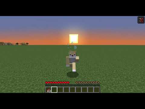 The Minecraft Sonic Fart.