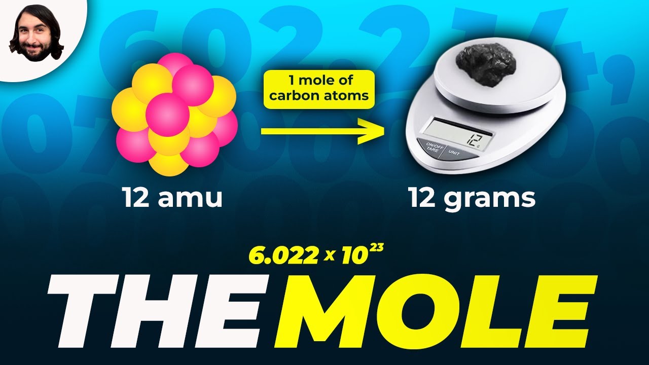 The Mole: Avogadro's Number and Stoichiometry