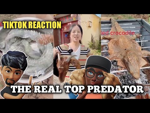 The most absurd cooking recipes viral on tiktok | cooking funny reaction  #tiktok #tiktokreaction