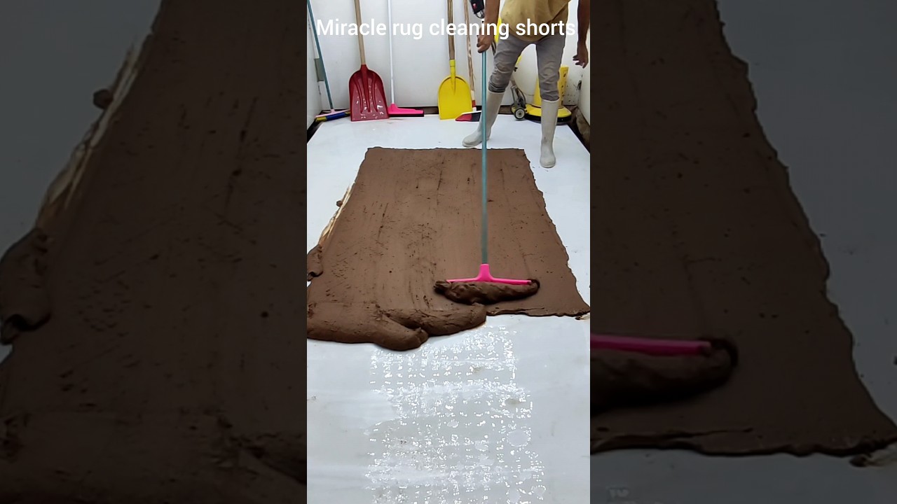 The most attractive short carpet video in the world Cleaning a very heavy colorful carpet with mud