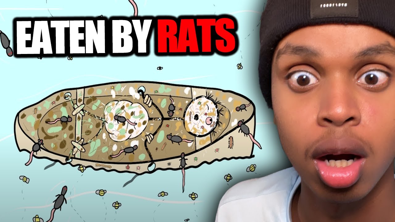 The Most Brutal EXECUTION Methods In History