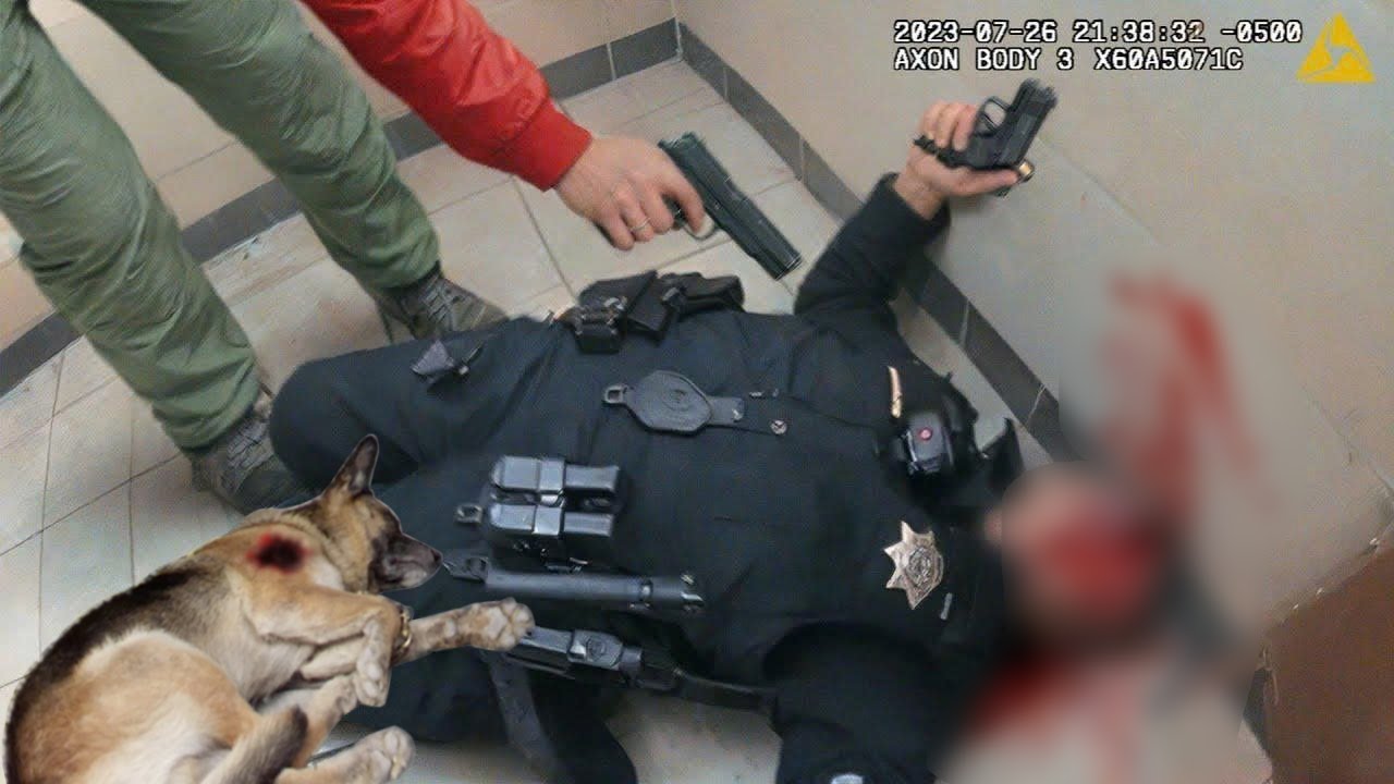 The Most Heartbreaking Moments of the Police Facing the Most Dangerous Criminals #13