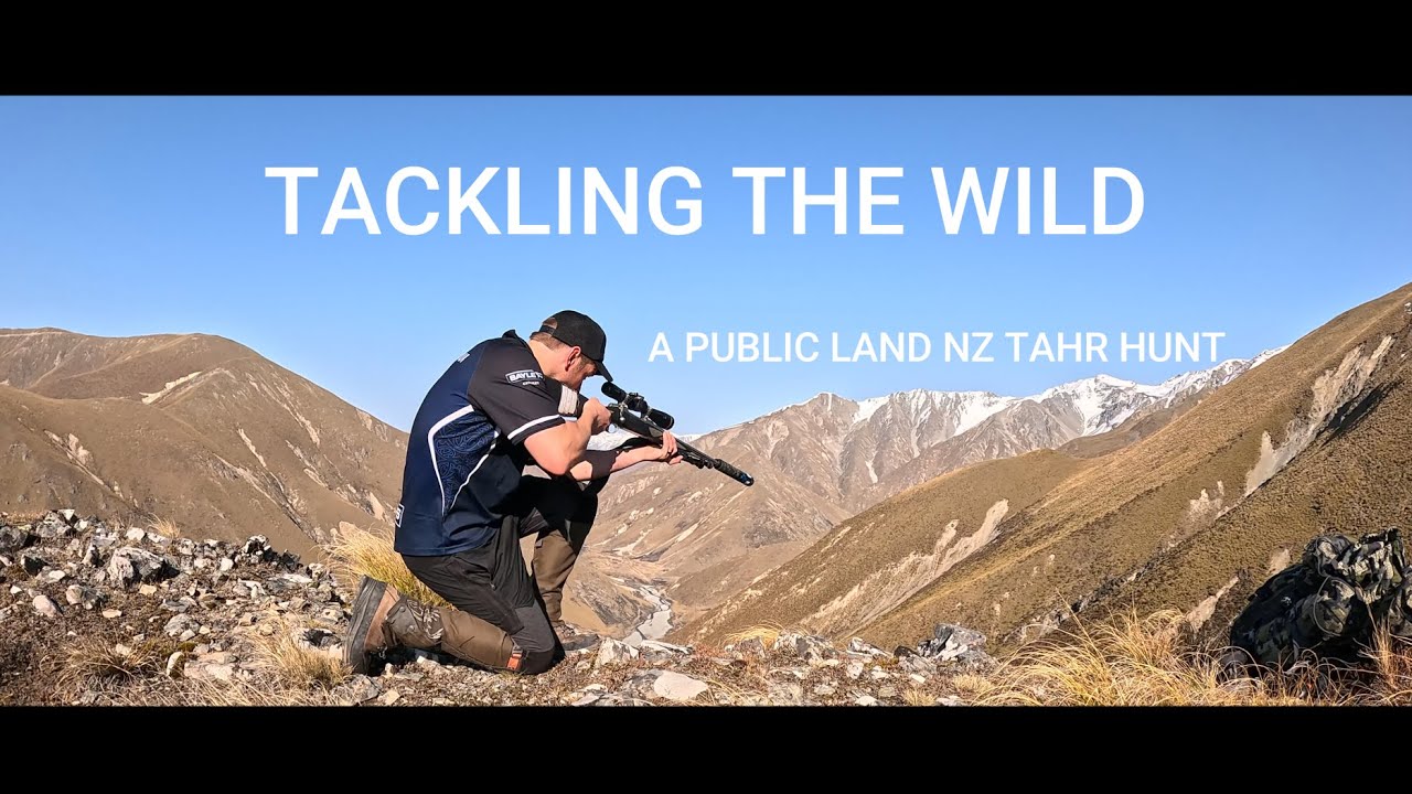The Most Himalayan Tahr We Have Ever Seen! | NZ Public Land Hunt.
