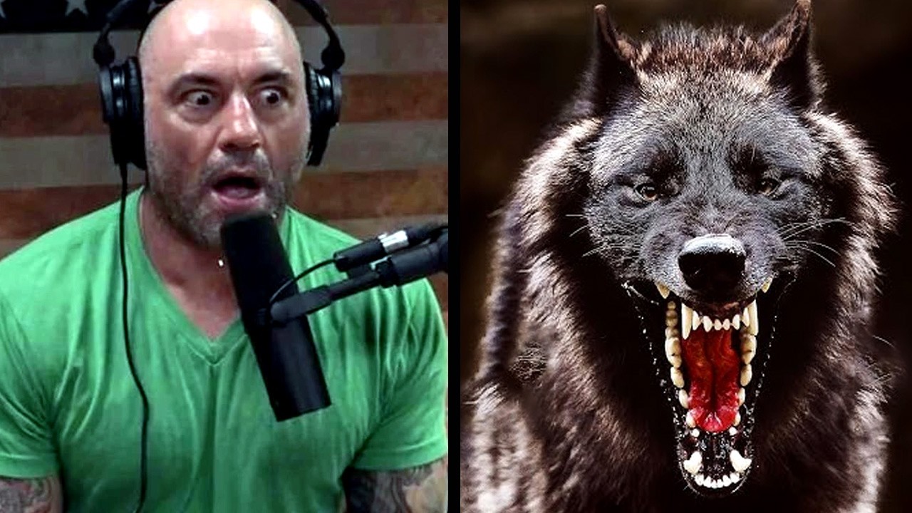 The Most Spine-Chilling Wolf Stories Ever Told on the Joe Rogan Podcast
