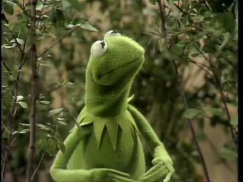 The Muppet Show: Kermit - 