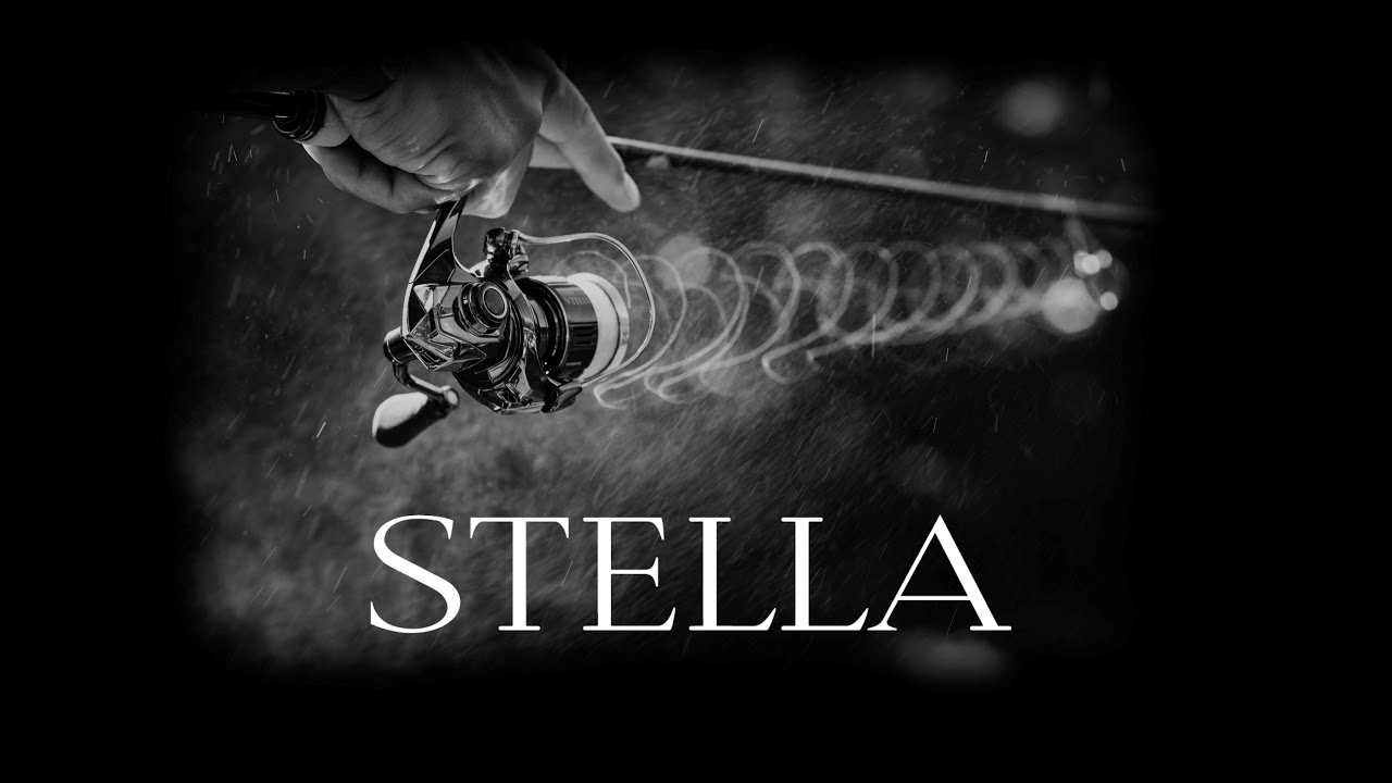 The NEW Shimano Stella - Infinity Evolution | The ultimate spinning reel – Evolved!