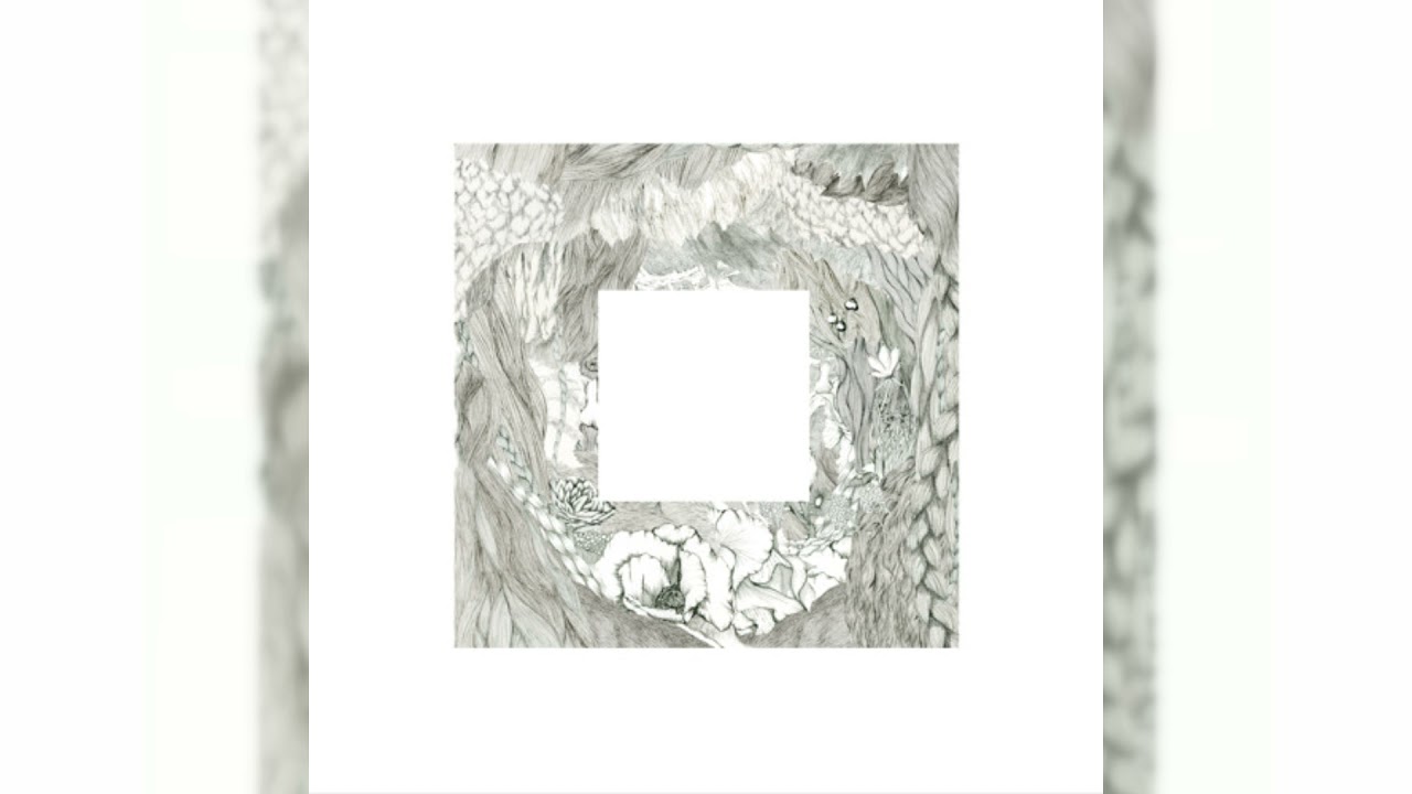 THE NOVEMBERS - Flower Of Life