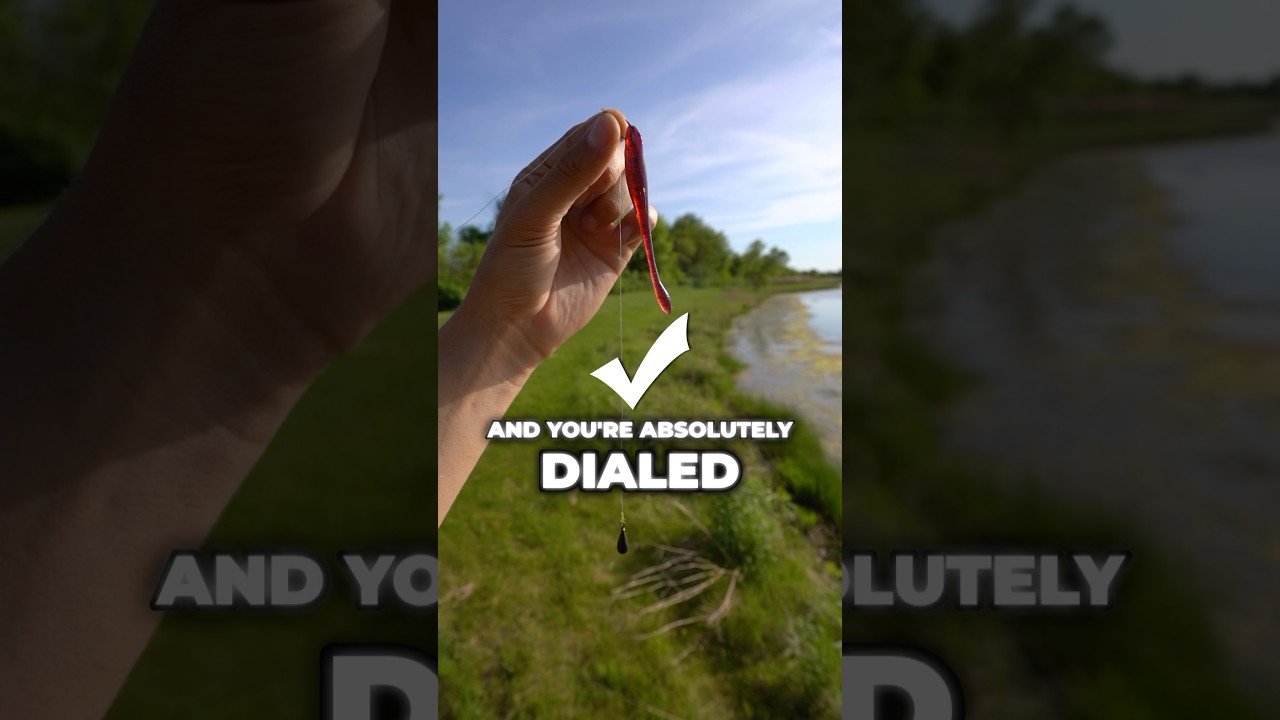 The ONLY Rig That Works for Brutal Summer Bass Fishing (Guaranteed Bites) #fishing