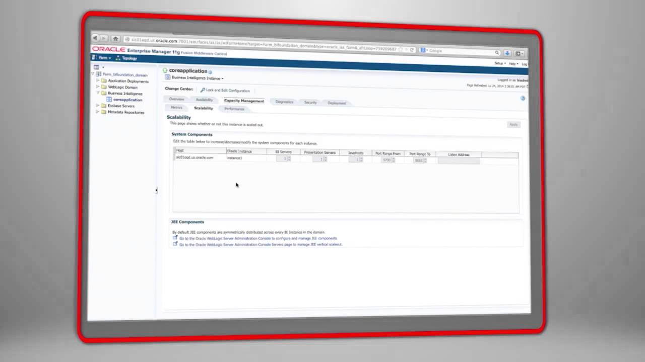 The Oracle BIEE Lifecycle: Managing the Oracle BI System