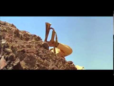 the party 1 peter sellers