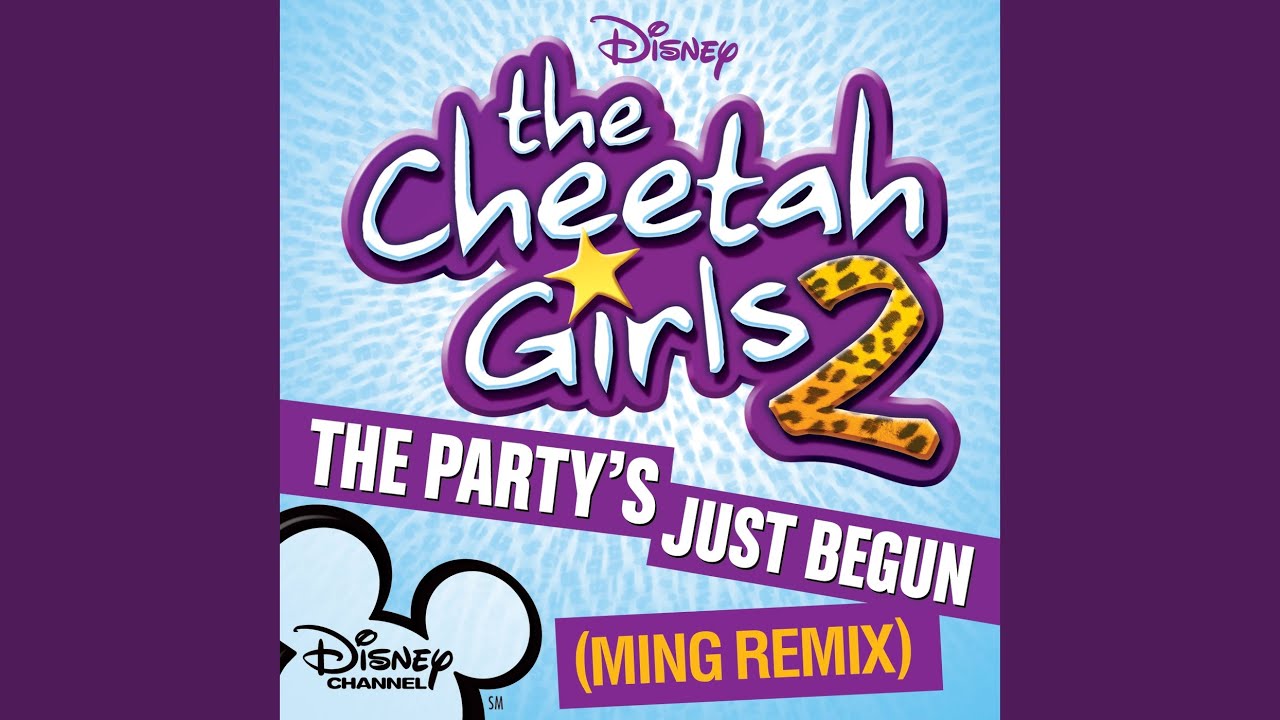 The Party's Just Begun (Ming Remix)