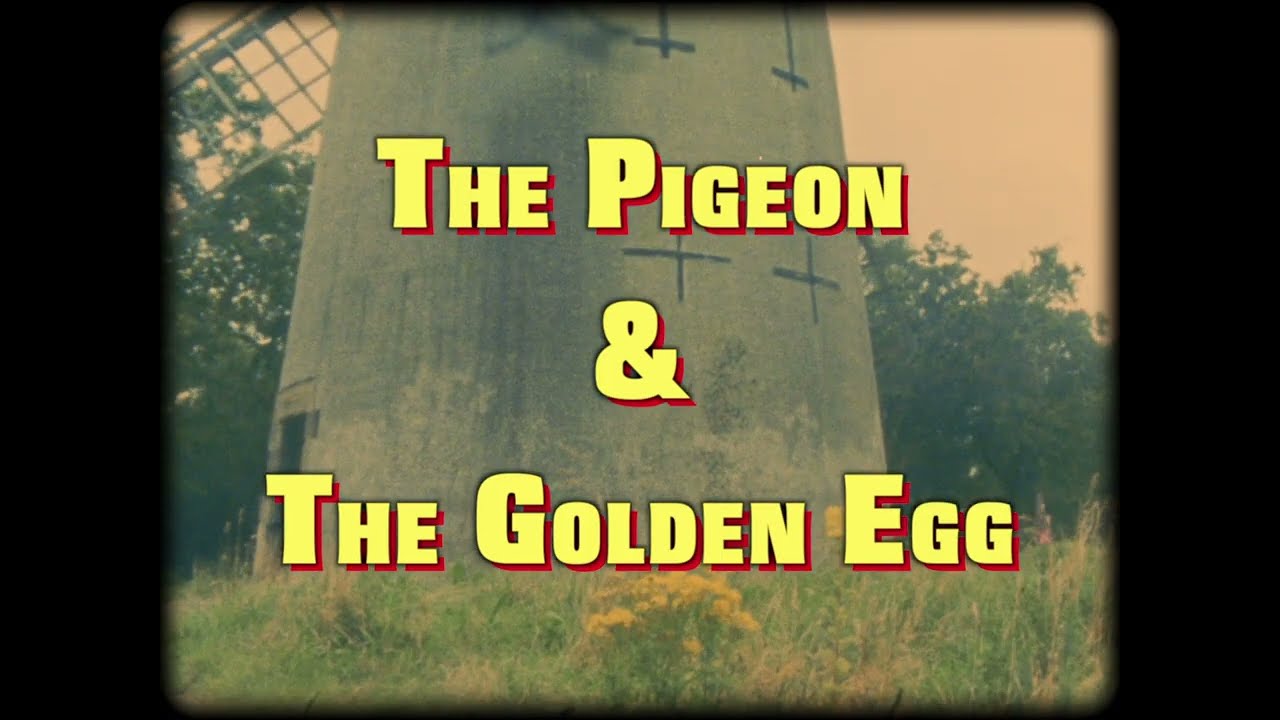 THE PIGEON & THE GOLDEN EGG - MELIN MELYN (Official Music Video)