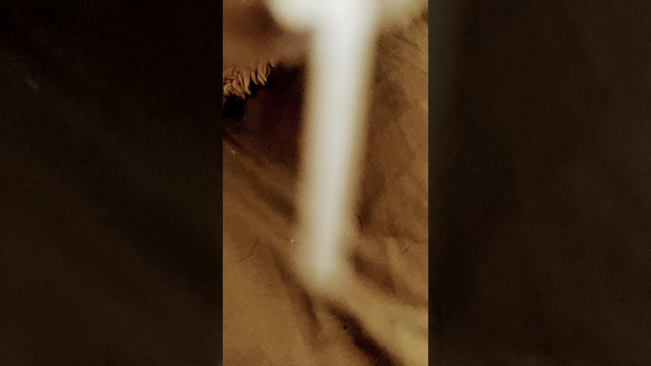 the pillow shake