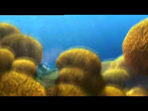 The Reef / Shark Bait Stuck Scenes