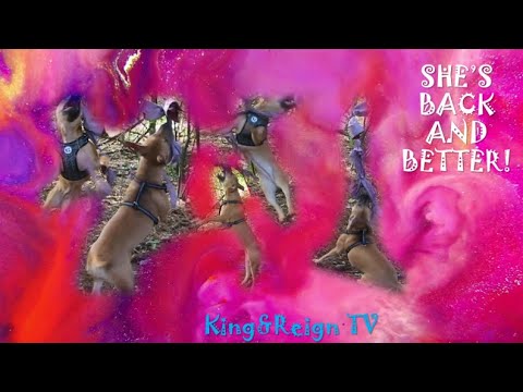 The Return of Reign! Spring Pole Training APBT (Female Pitbull)- King&Reign TV