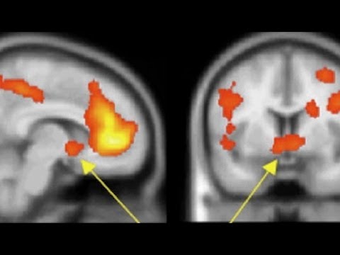 The Science of Bragging and Boasting