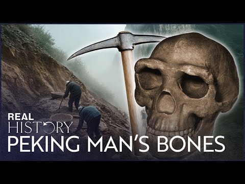 The Search For Peking Man & Other Evidence Of Our Ancient Ancestors