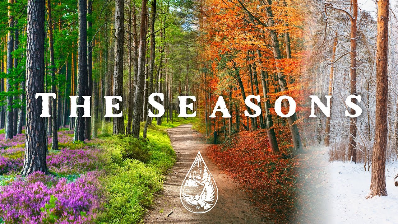 The Seasons 🌼☀️🍂❄️ - An Epic Indie/Folk/Pop Playlist