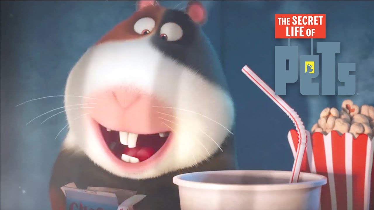 The Secret Life of Pets | Norman's TV | Film Clip