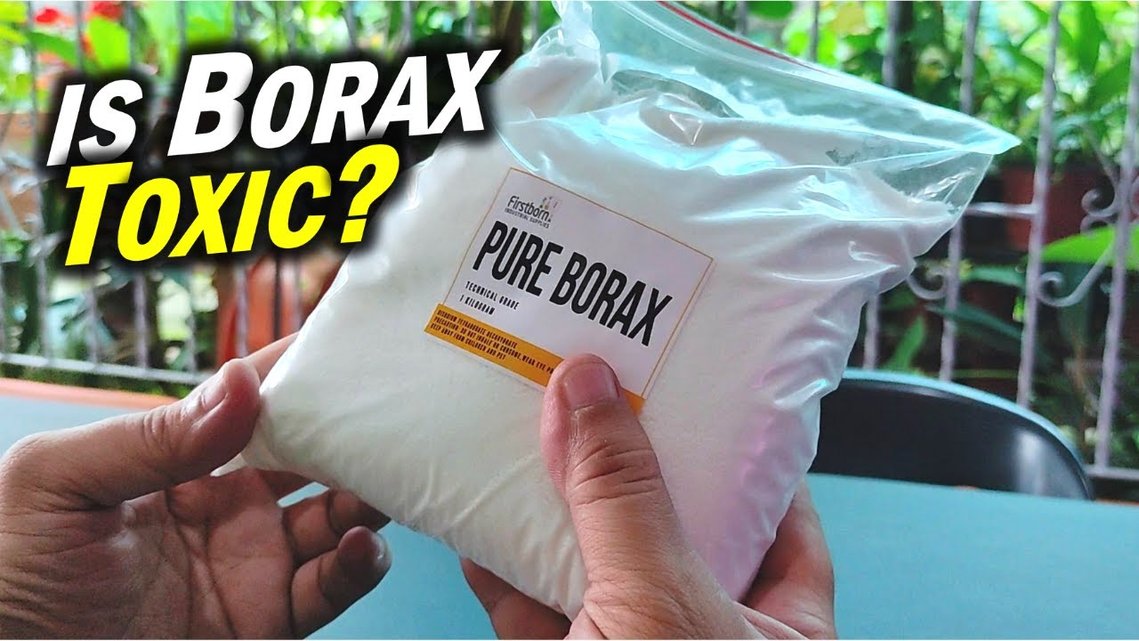The Shocking Truth About BORAX: Is It TOXIC or SAFE? (sodium tetraborate)