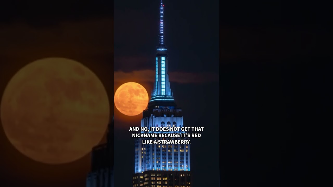 The strawberry moon lit up the night sky! 🌕🍓