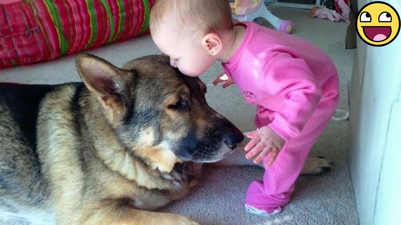 🐶The Sweetest Kiss Ever – Baby’s Love for Her Dog ❤️🐾