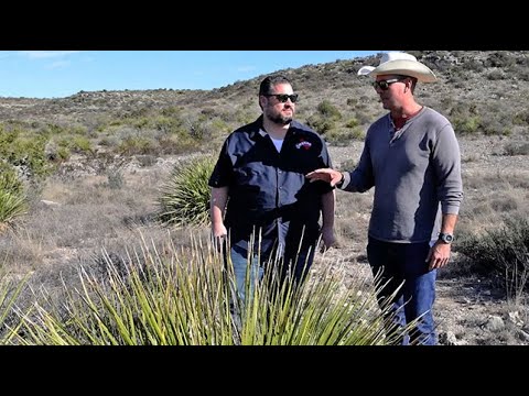 The Texas Bucket List - Desert Door Sotol in Driftwood