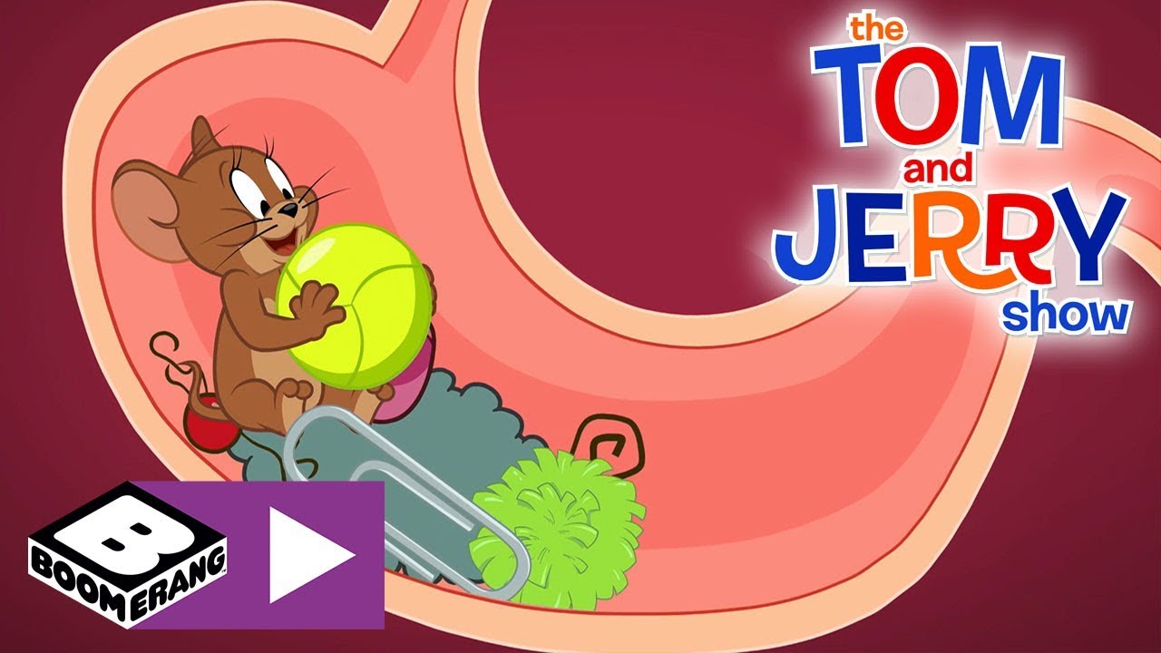 The Tom and Jerry Show | Tom, Jerry And The Ball | Boomerang UK 🇬🇧