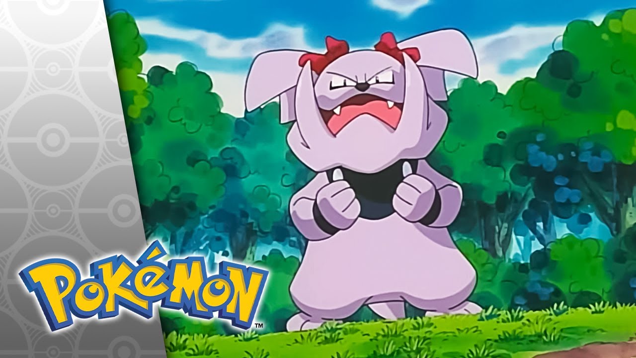 The Trouble with Snubbull | POKÉMON FULL EPISODE 18 | Season 4