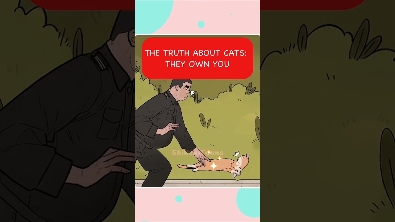 The Truth About Cats : They Own You #cat #animation #funny#shorts