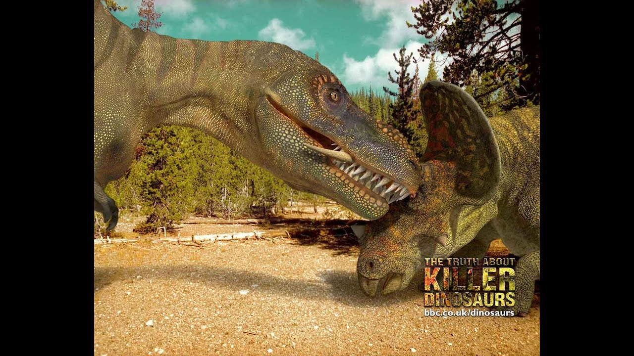 The Truth About Killer Dinosaurs | Tyrannosaurus vs. Triceratops (Resounded)