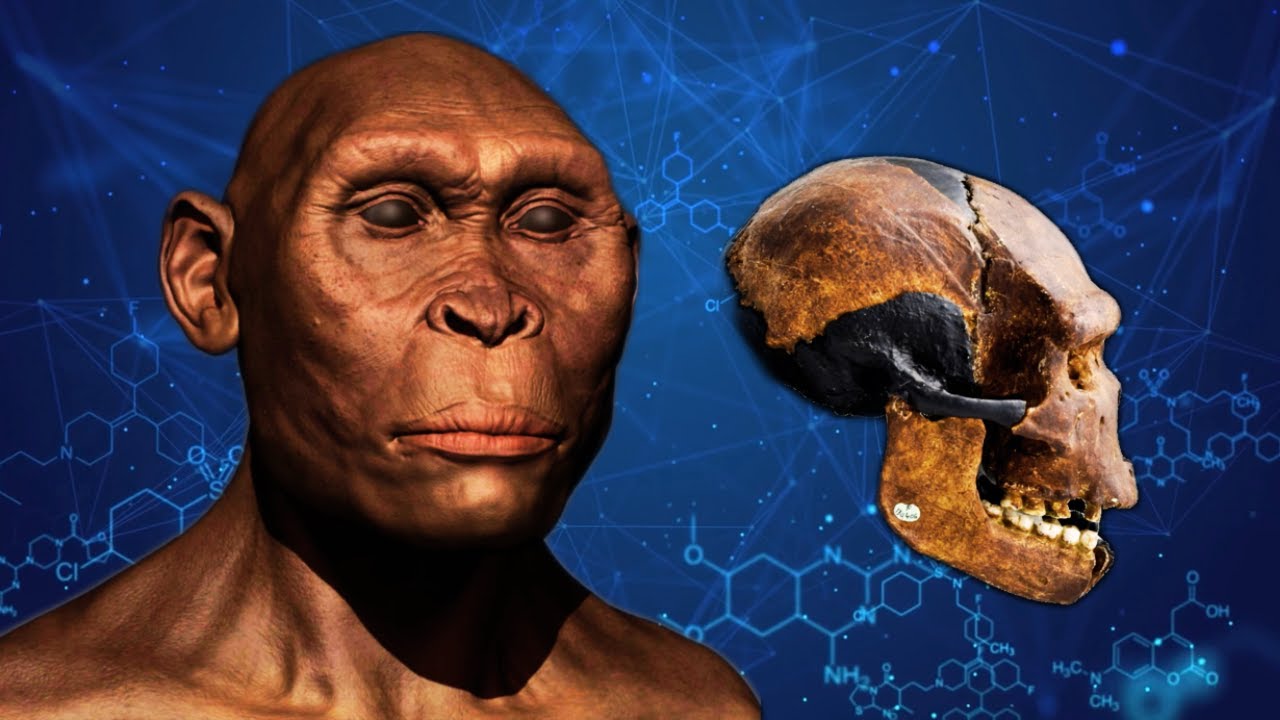 The Weird History of the 800,000-Year-Old Peking Man Fossils