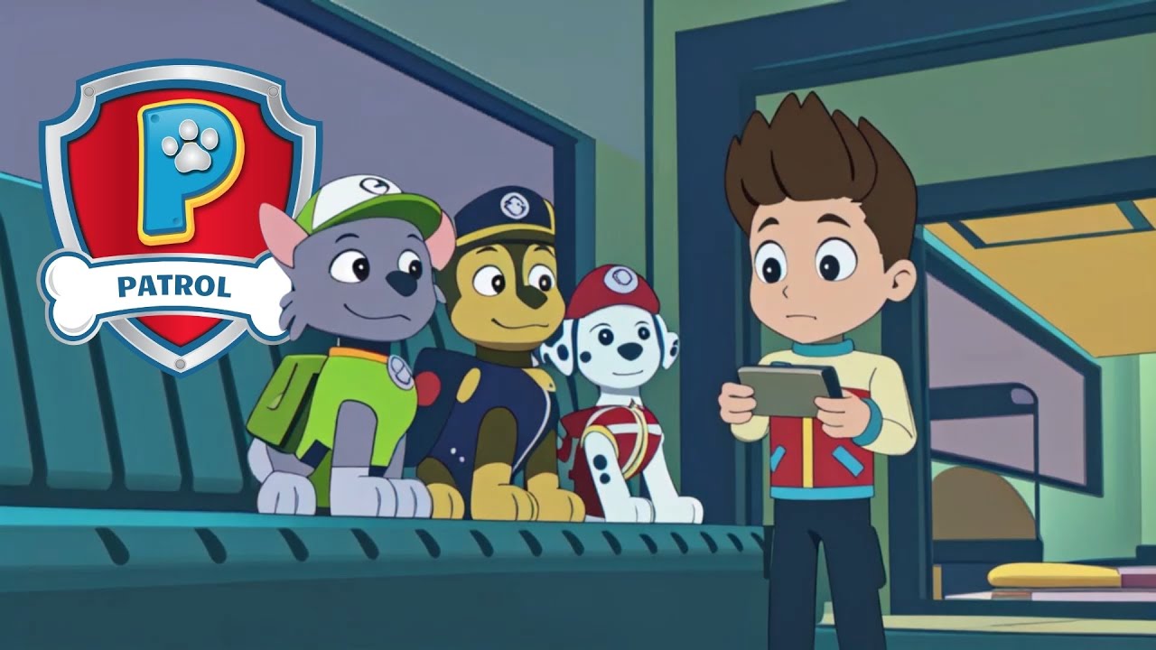 The Wheels on the Patrol Bus 🎵🚌 PAW Patrol Songs