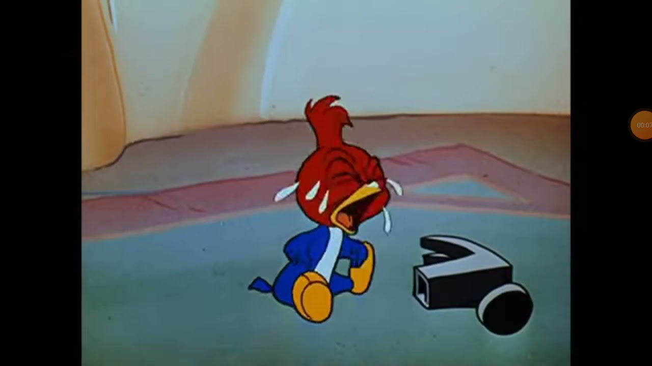 The Woody Woodpecker Show Crying (All Episodes)