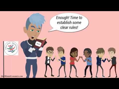 The World Trade Organization (WTO) Explained in One Minute