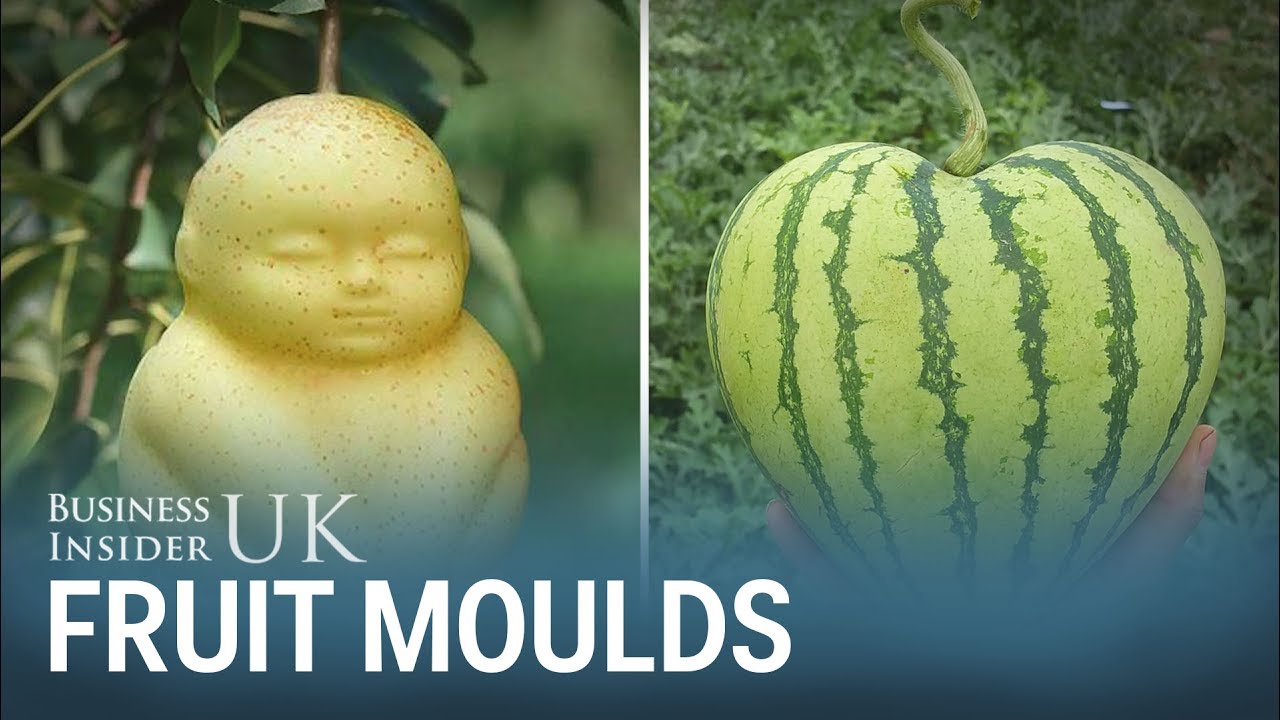 These fruit moulds let you grow your own heart-shaped watermelons or Buddha-shaped pears