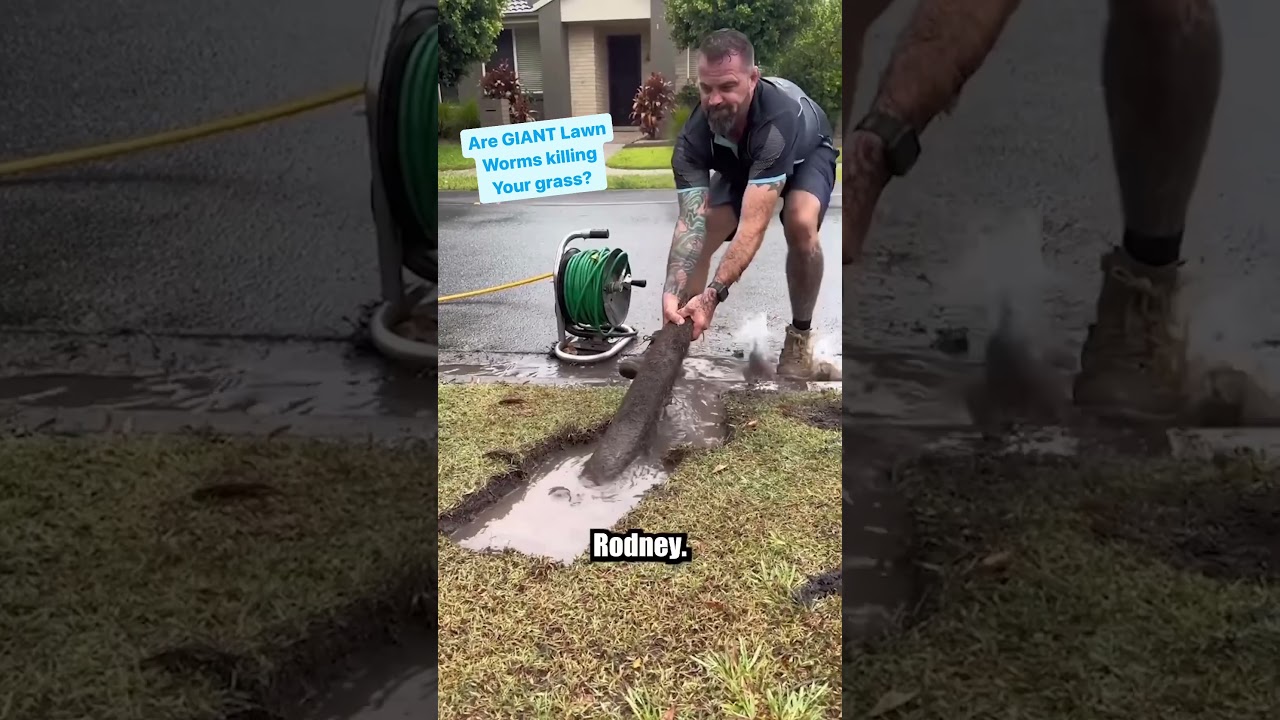 These GIANT Lawn Worms will give you nightmares. With @theunblockersaus
