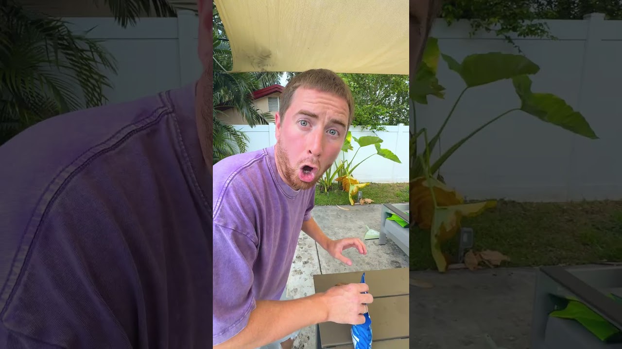 They ENLARGED the GUMMY SHARK 😱🦈🤣 #shorts #khamitovy #martaandrustam