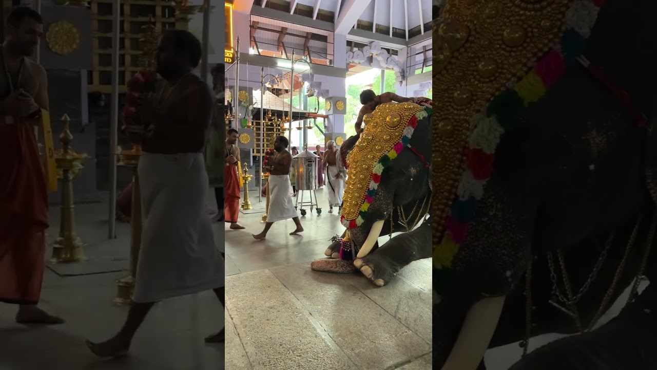 Thiruvambady temple #thiruvambadi #thiruvambadichandrashekaran #thiruvambady #thrissur