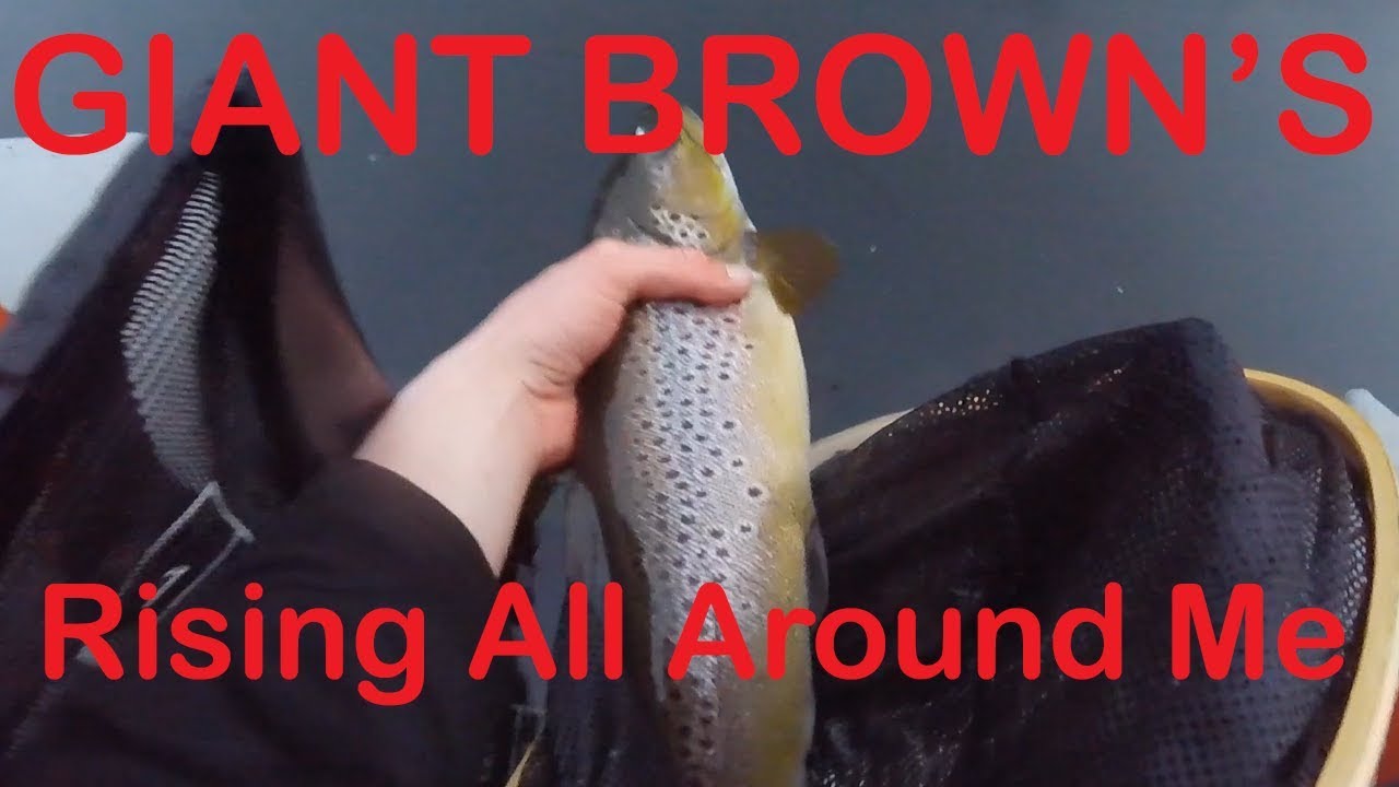This Fish Surfaced BESIDE ME And I CAUGHT IT - Micro Twitch Jig Fishing