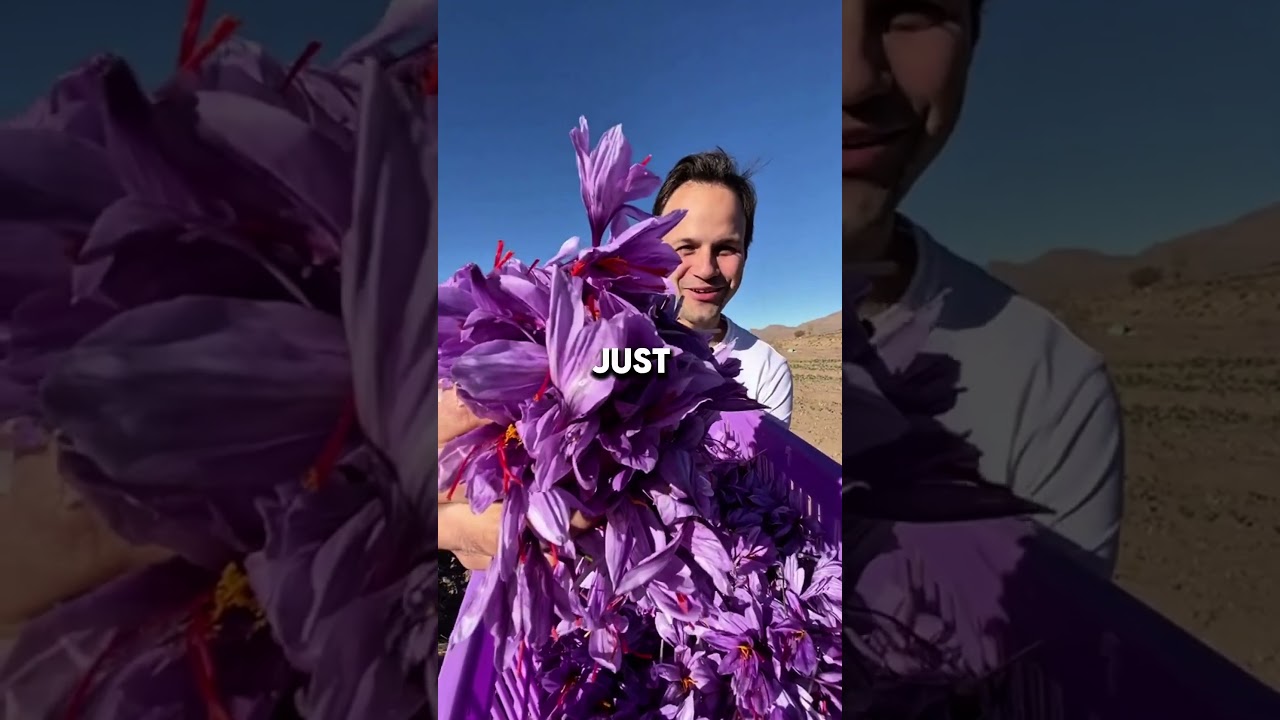 This Flower is worth 5000 DOLLARS 🌸😳