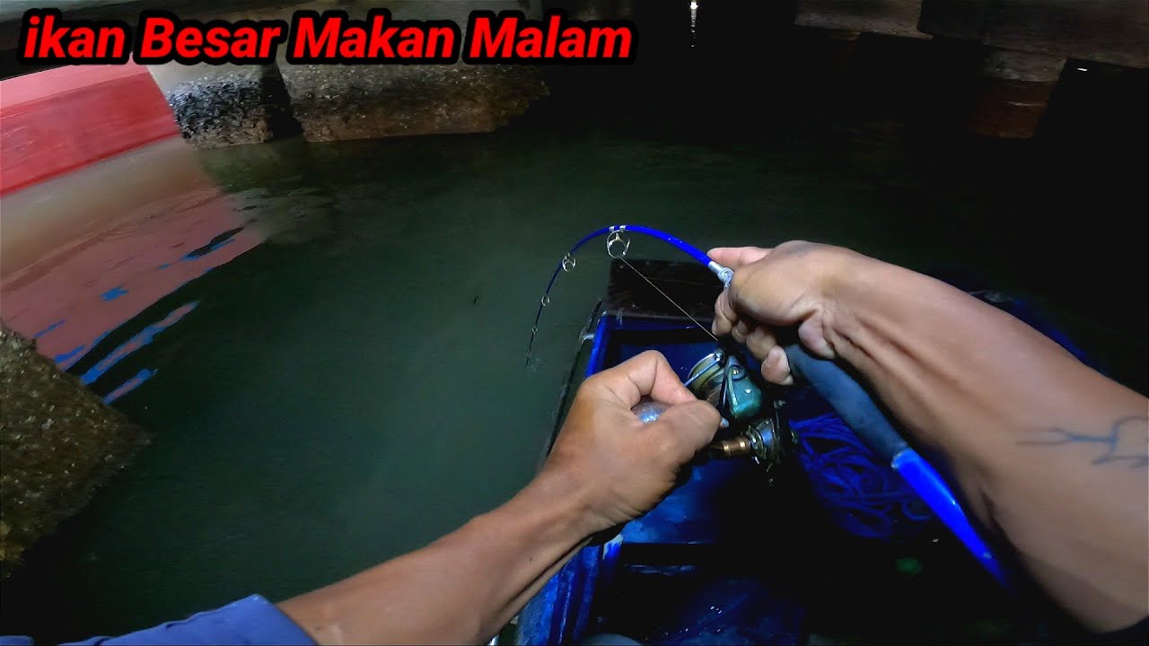 This is a new original special fish, only at night I can get it, fishing at night is lucky