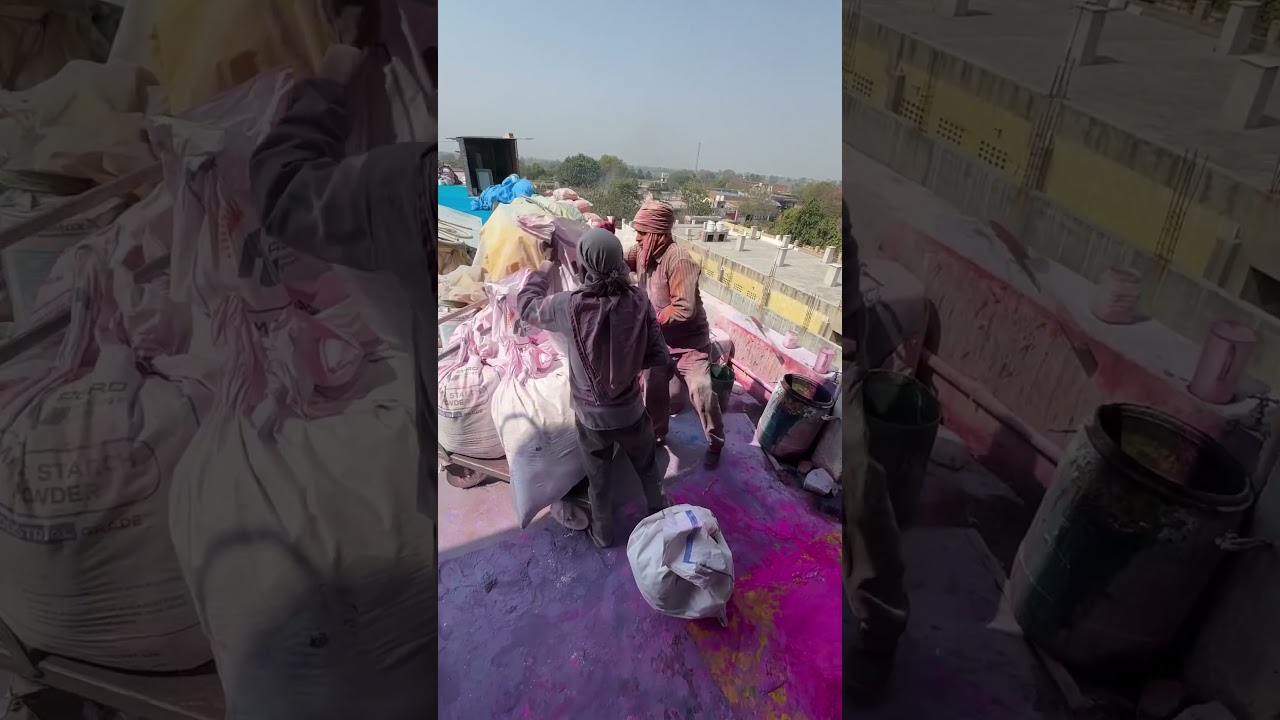 This is how Organic Holi Gulal is made in Factories #shorts #ashortaday