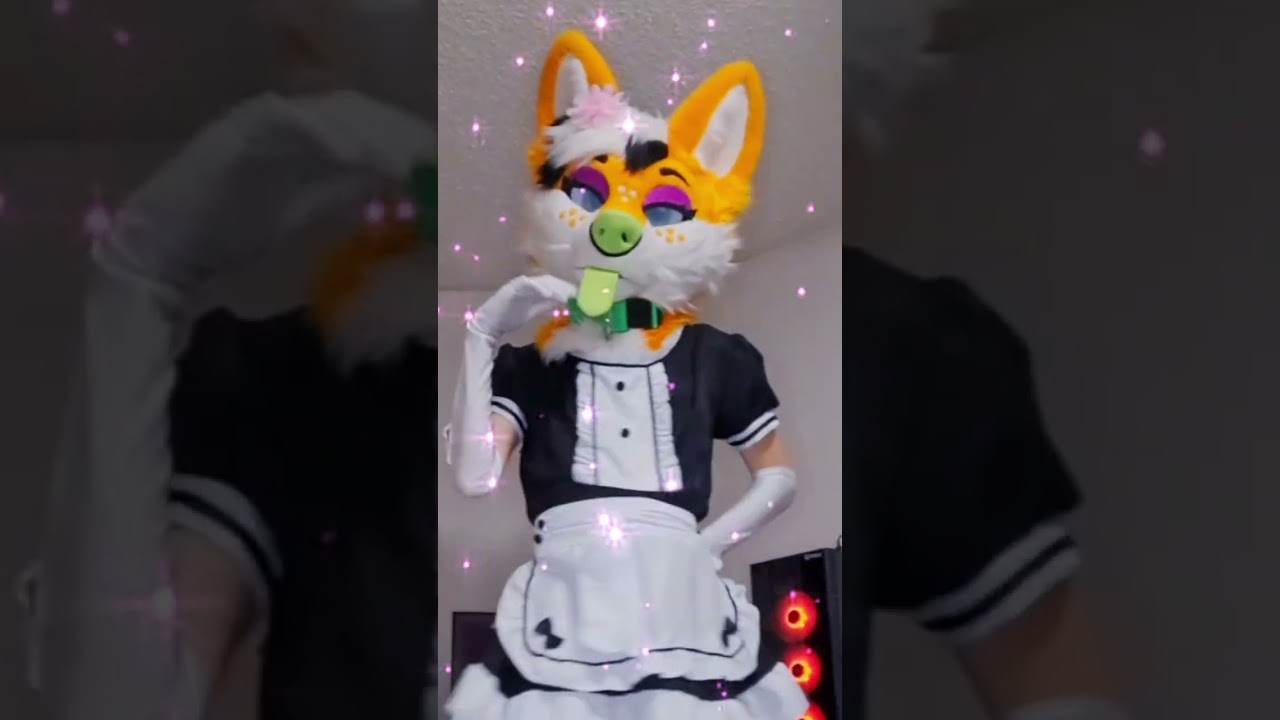This is my... Alter-Ego UwU #furry #femboy #drake