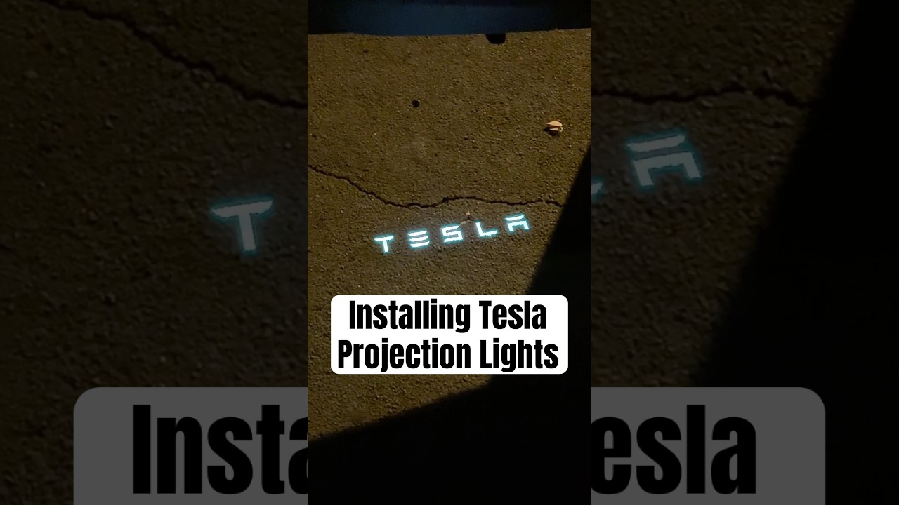 This is One Of Teslas Best Accessories Yet! 👌⚡️