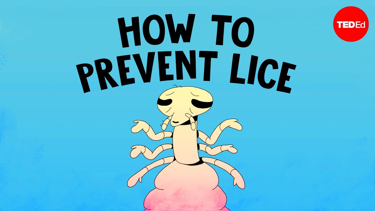 This is the most common way to get head lice - Nazzy Pakpour