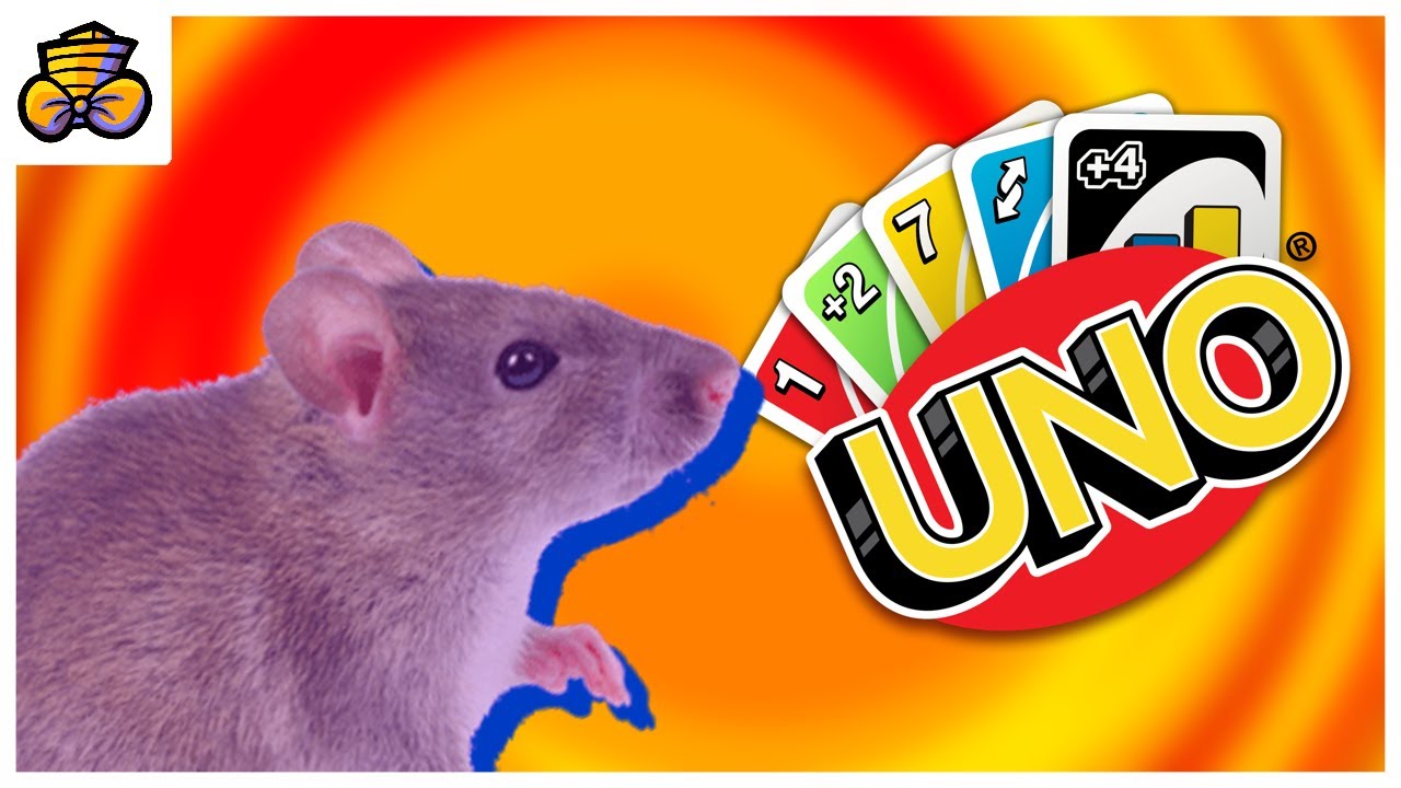 This Mouse Is Better Uno Flip Than WE ARE! | Uno Flip