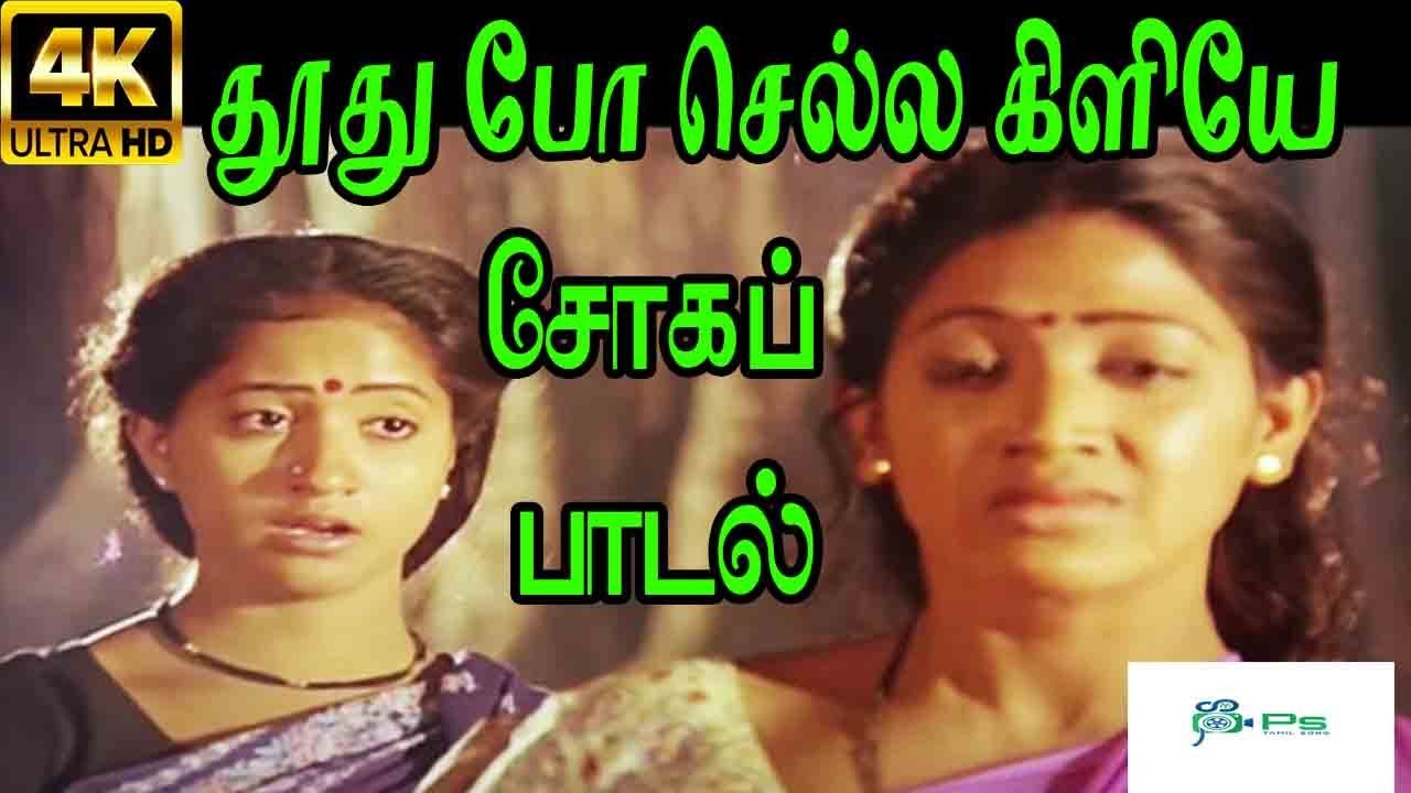 Thoothu Po Chella Kiliye ||தூது போ செல்ல கிளியே || S.Janaki  Love Sad H D Song