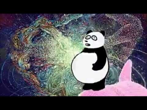Thrash Panda Shooting Stars Meme